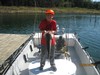 (10/02/2016) - Nice Striped Bass